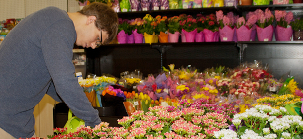worksite learning flower header
