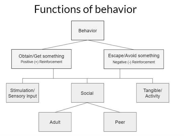 Behavior functions flow chart